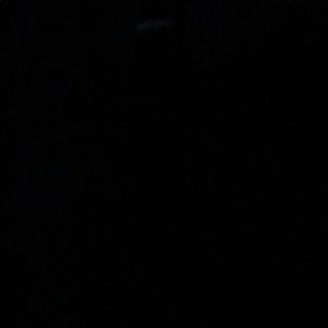 Meet your Posher, Eva